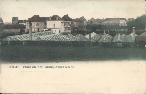 MELLE. - PANORAMA DES HORTICULTURES WOLFF.