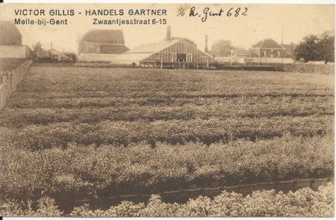 VICTOR GILLIS - HANDELS GARTEN Melle-bij-Gent, Zwaantjesstraat 6 -15