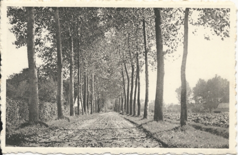Marie-Louise - Lindenhoek - Melle
