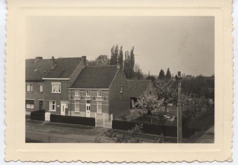 Boerderij/Bloemisterij van Prosper Poppe aan de Vossenstraat in Melle, 1959