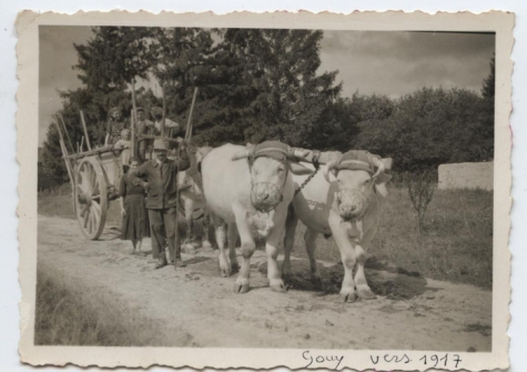 Ossenspan in Gouy Les Grosseillers, Dept. Oise, France, 1917