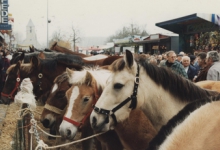 Houtem Jaarmarkt, Sint-Lievens-Houtem, 1995 Houtem Jaarmarkt, Sint-Lievens-Houtem, 1995