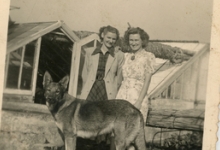 Portret aan de serres, Melle, 1947-1948
