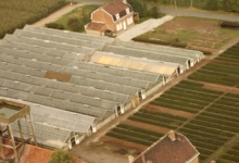 Luchtfoto bloemisterij Debersaques, Destelbergen, 1991
