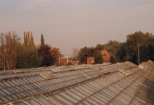 Zicht op serres bloemisterij Debersaques, Destelbergen, 1991
