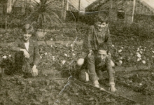 Kinderen tussen de bloemenperken, Zaffelare, 1930-1947