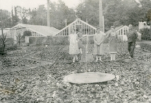 Bloemisterij Puimège met serres, Zaffelare, 1930-1947