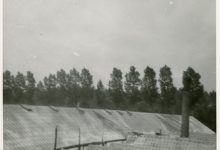 Schoorsteen en serres, Lochristi, jaren 1930