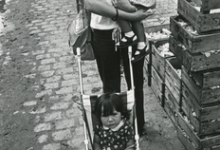 Begonia's klaar om te leggen, Lochristi, 1977