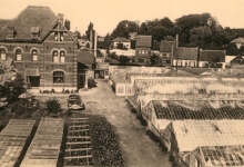 Bloemisterij Volckaert-Columbien, Merelbeke, 1940-1950