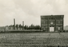 Zicht op bloemisterij Adriaenssens, Lochristi, 1900-1912