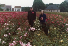 Arthur De Neve en echtgenote tussen rozenstruiken, Oosterzele, eind jaren 1970
