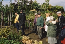 Opendeurdag boomkwekerij De Moor tijdens 'Op de Siertoer', Oosterzele, 2001
Opendeurdag boomkwekerij De Moor tijdens 'Op de Siertoer', Oosterzele, 2001