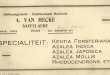 Visitekaartje bedrijf Adolf Van Hecke, Zaffelare, 1910-1920
