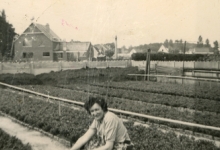 Rachel Braeckman tussen de azalea's, Heusden, jaren 1950
