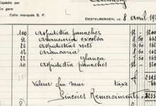 Factuur bloemisterij St.-Fiacre, Destelbergen, 1927