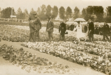 Bezoek Koningspaar aan de Begoniavelden De Sommer, Hijfte, 1929
Bezoek Koningspaar aan de Begoniavelden De Sommer, Hijfte, 1929