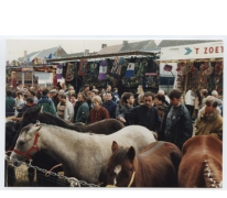 Paarden op Houtem Jaarmarkt, Sint-Lievens-Houtem, 1995