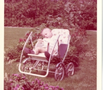 Slapen in het zonnetje, Balegem, 1966