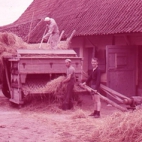 Op de boerderij, Moortsele, jaren '60