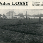 Advertentie van bloemisterij Lossy, Destelbergen, jaren 1920
